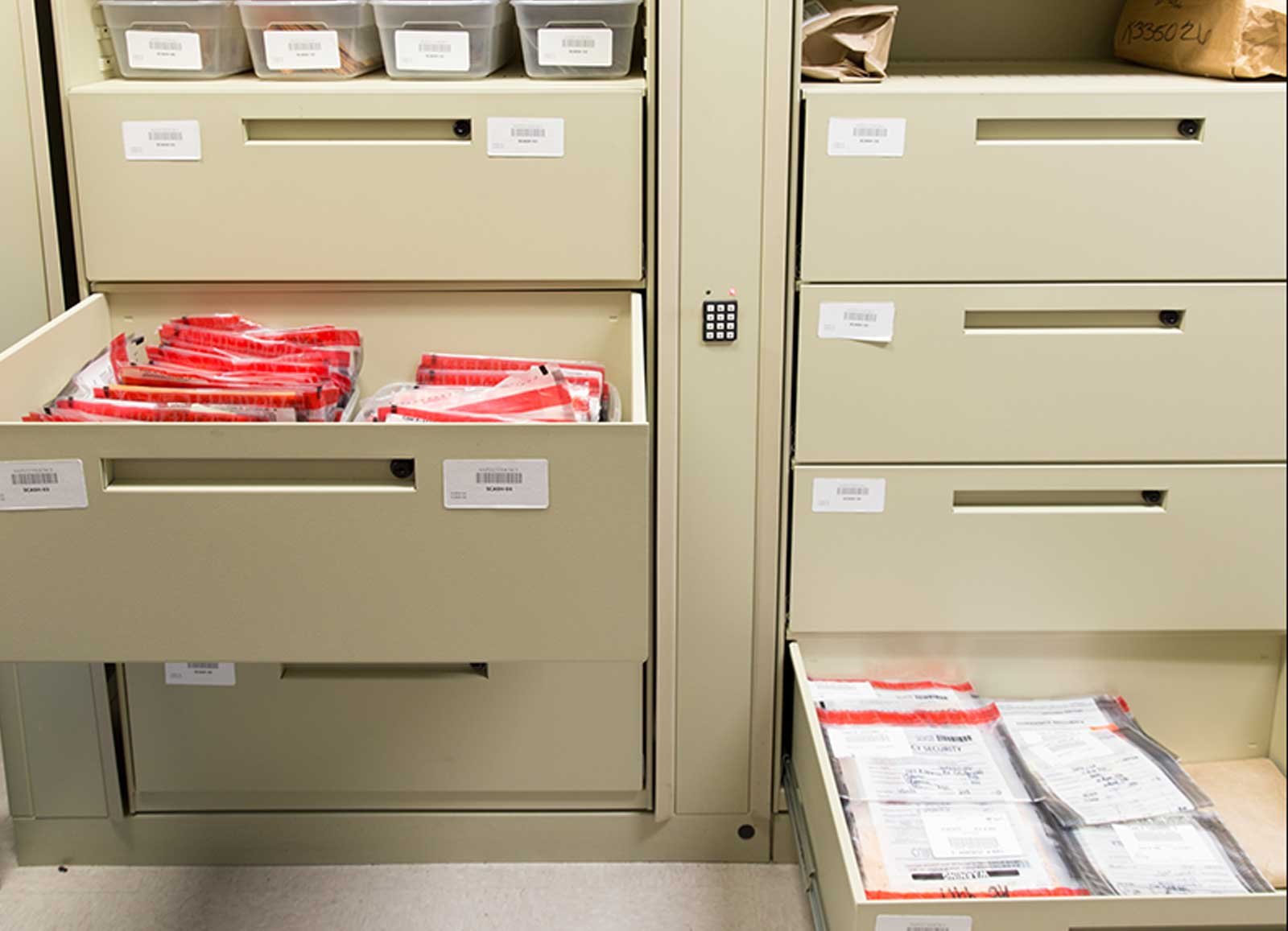 Organized company records